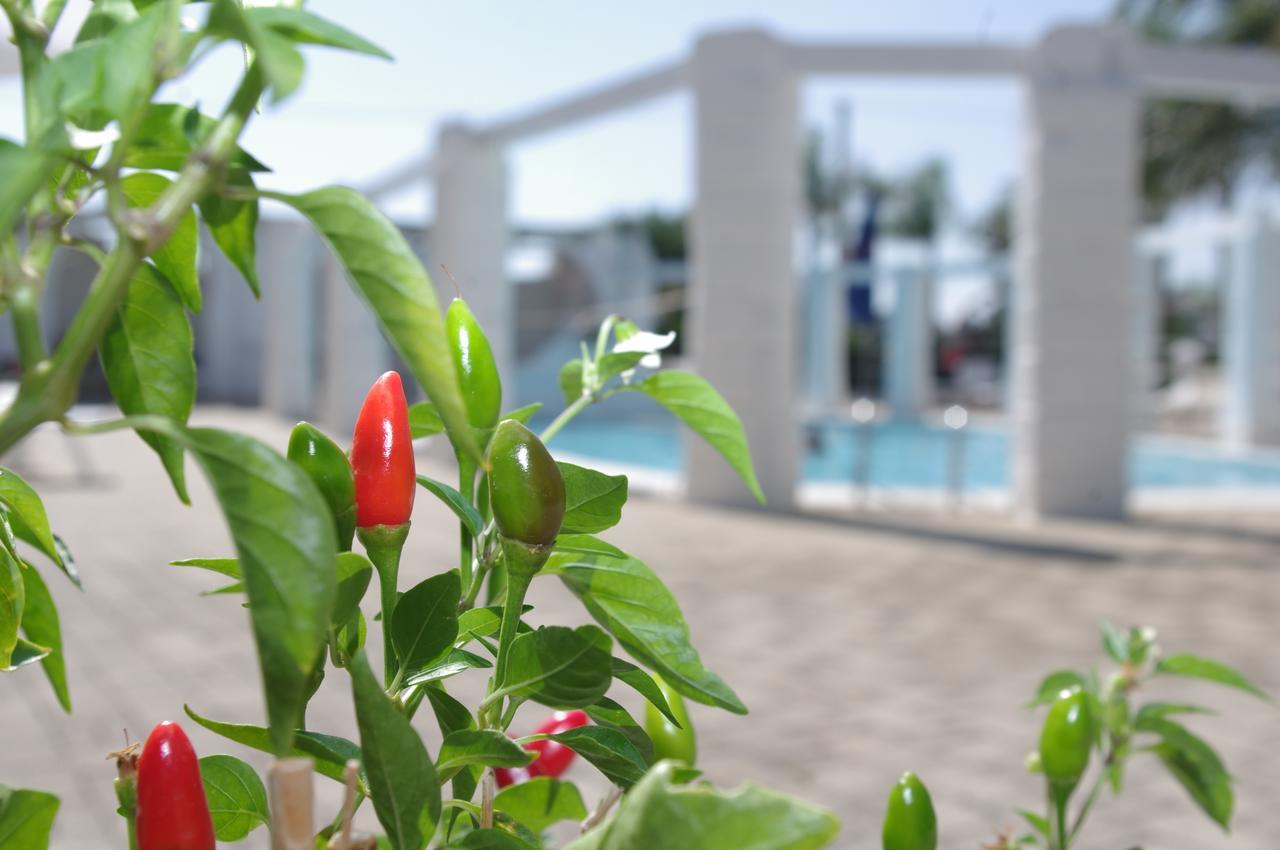Hotel Nicolaj Polignano a Mare Luaran gambar